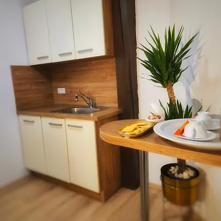 Am Bachhaus Apartamento Eisenach